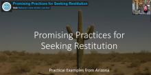 Promising Practices for Seeking Restitution_Title Card